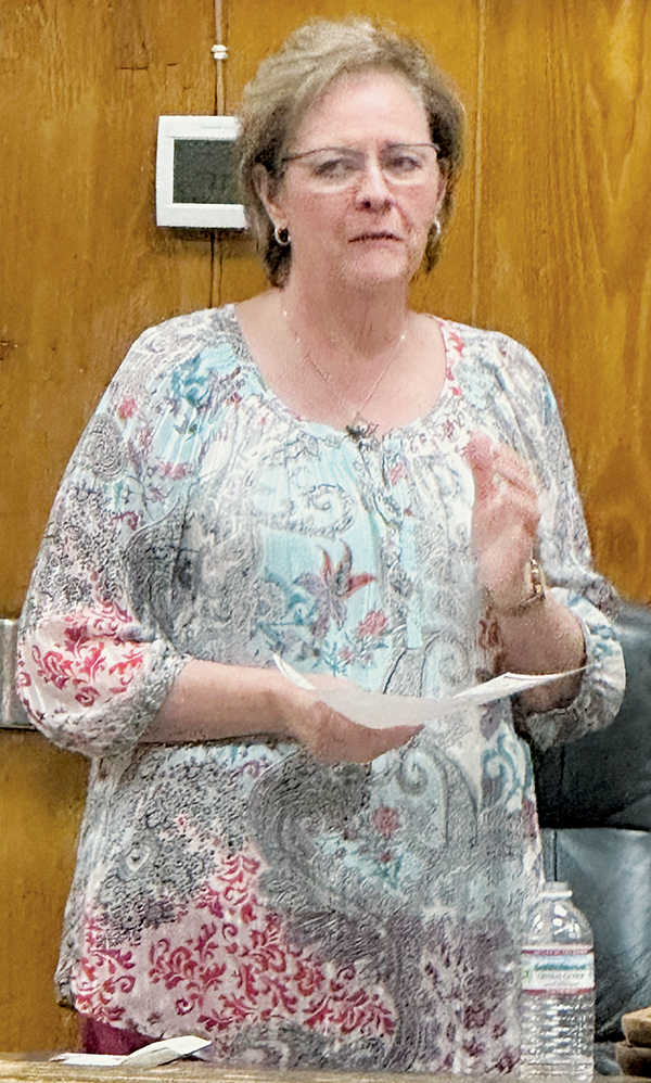Awake America Founder Lydia Long speaks during June 12’s event at the Graham County Courthouse.