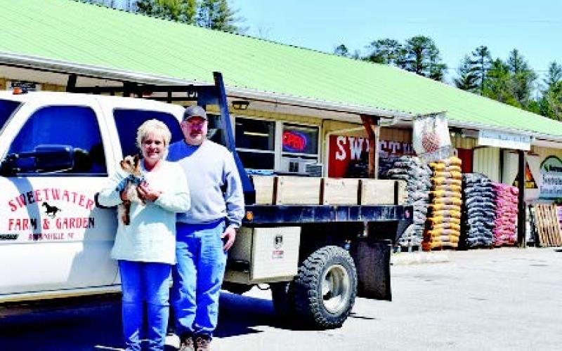John &amp; Tammy Lovin invite you to meet Rue the Yorkshire Terrier.
