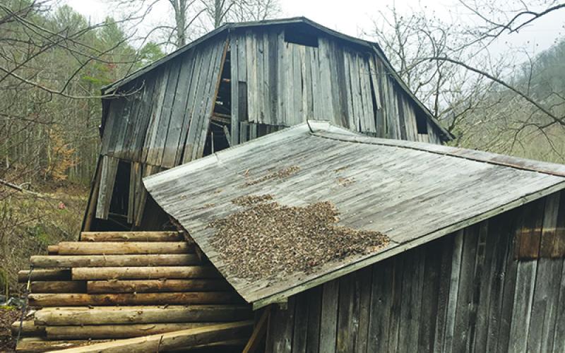 A dozen Graham County residents came together Saturday, to de-construct this dangerous old barn. Photo by Robbi Pounds/rpounds@grahamstar.com