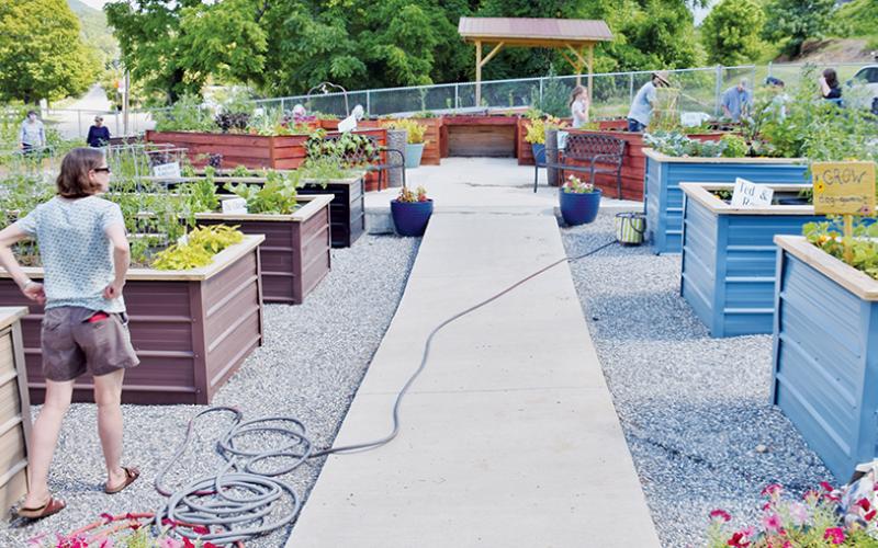 Intrigued residents peruse the development inside the Community Garden.