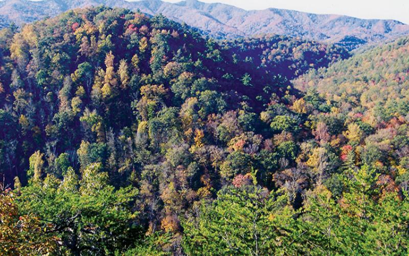 A breathtaking view of the mountains, from Yellow Creek Mountain Trail. Photo by Marshall McClung/The Graham Star
