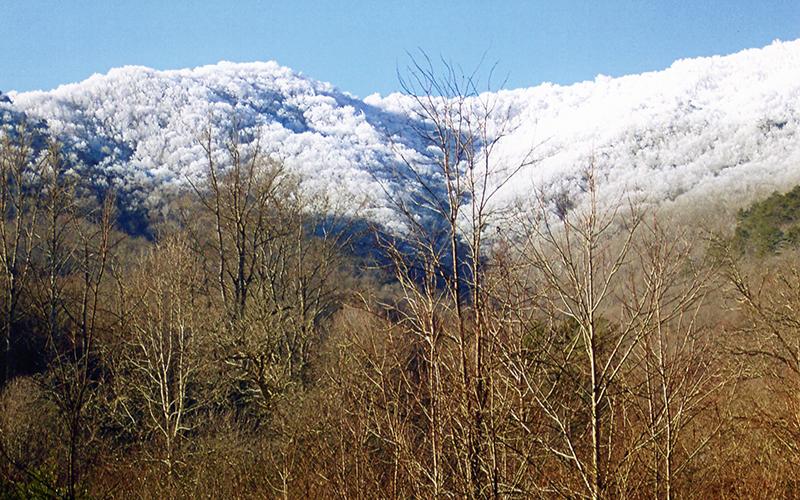 The steep mountains on the upper reaches of Hares Creek rise above 4,000 feet elevation to form the boundary between Graham and Cherokee counties. Photo by Marshall McClung/The Graham Star