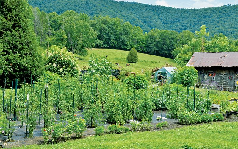 Kathie Hatton and Len Sheffield’s garden in Tuskeegee has a little something for everyone.