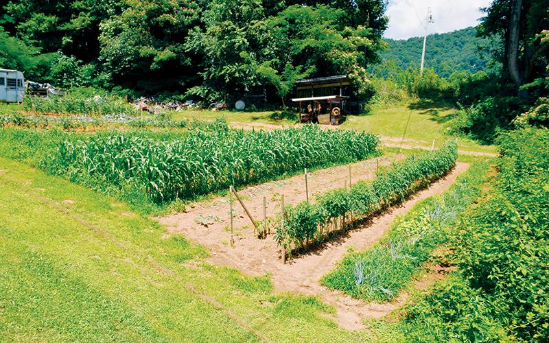 The Sellers’ garden typically yields much more than the couple needs, so Joe and Lorna give much of their bountiful supply back to the community.