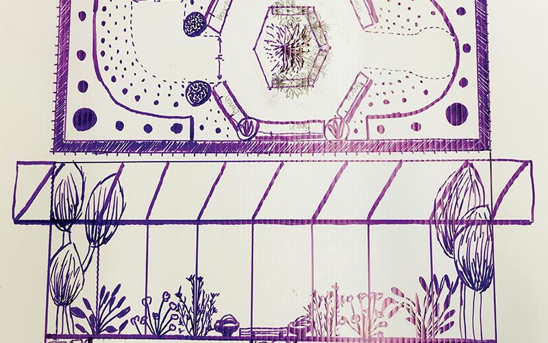 Preliminary sketches of the butterfly garden that will be located at the Graham County Public Library.