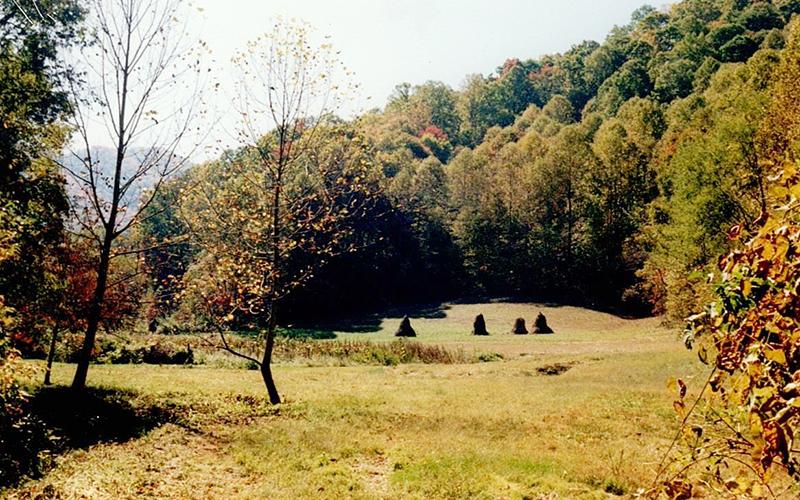 Farm scenes – such as this one of haystacks, in a field on Hares Creek – were common during the “hayday” of farming in Graham County. Photo by Marshall McClung/The Graham Star