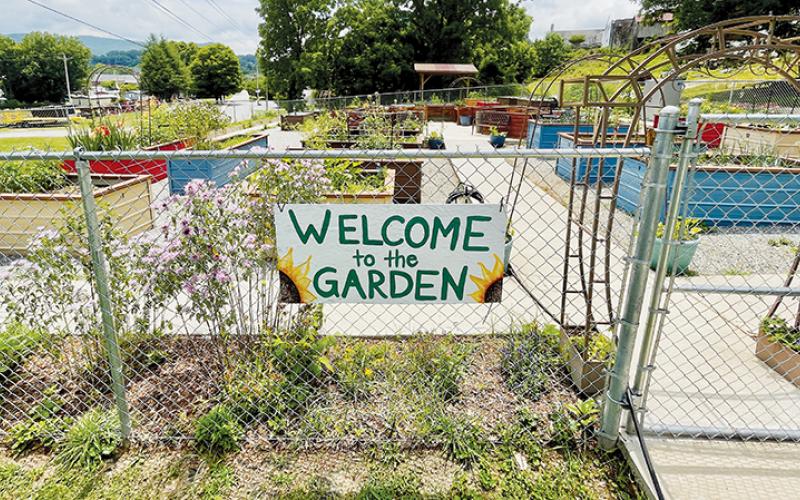 There is green as far as the eye can see at the Robbinsville Community Garden, which is located behind the Church Mouse thrift store between North Main and Ford streets in Robbinsville. Photo by Randy Foster/news@grahamstar.com
