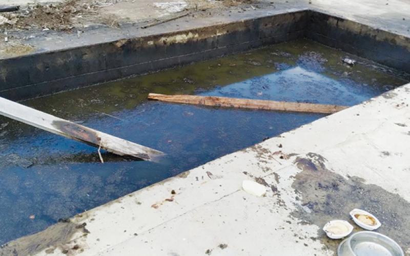 This pit, thought to have once been enclosed in a building that housed machinery, is estimated to be 7-feet-deep and is filled with greasy water. A dog was rescued from it on May 30 after being trapped for at least five hours but as long as 12 hours. Photo by Randy Foster/news@grahamstar.com