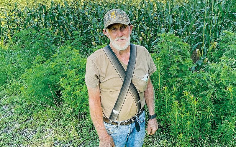 “It’s all I do anymore,” said 77-year-old gardener Tom Orr. “I do it all by myself.”