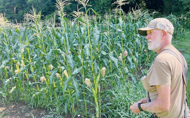 Tom Orr is an old-school gardener who works his 2-acre garden by himself and sells his produce from his house. Photo by Randy Foster/news@grahamstar.com