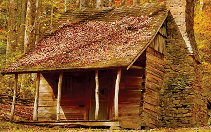 Rebecca Morris was chosen as the winner of The Graham Star's 2021 Fall Foliage Contest, after capturing this colorful moment at Stewart Cabin on Oct. 23.