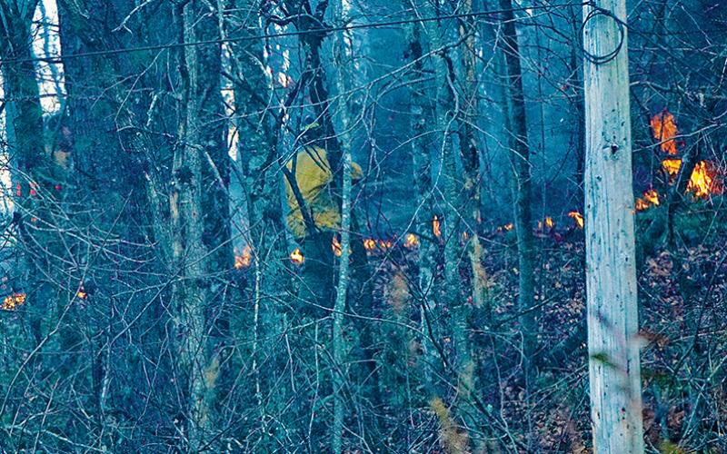 An unidentified firefighter analyzes a small fire that spread into a wooded area off Eller Branch Road on Nov. 21. Photo by Randy Foster/news@grahamstar.com