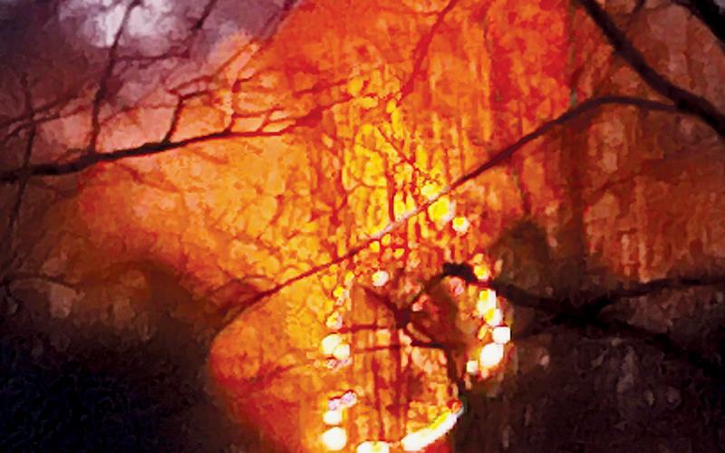 Crews acted quickly to combat a blaze that burned two acres on Stecoah Mountain on Feb. 22. Photo by Kevin Hensley/editor@grahamstar.com