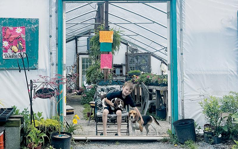 Pat and Betty Satterfield’s 6-year-old grandson Quincy has already shown he is wise beyond his years, lending a helping hand all around Satterfield’s Briarpatch Greenhouse &amp; Nursery – but not without his faithful friends Rosie and Rattler by his side. Photos by Latresa Phillips/The Graham Star