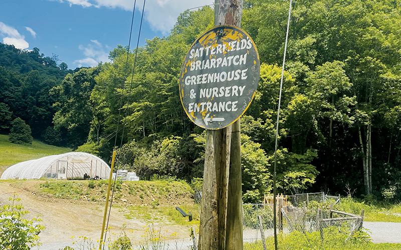 A rustic – albeit charming – sign welcomes customers to Satterfield’s Briarpatch Greenhouse &amp; Nursery, located off Anthony Branch Road in Graham County.