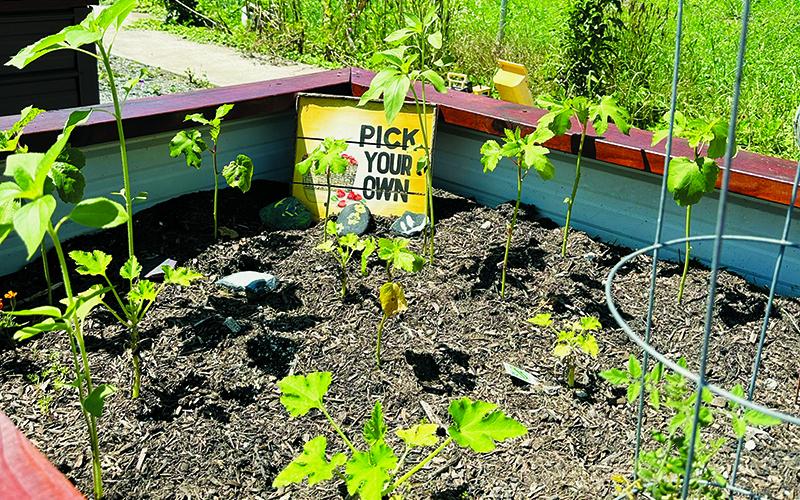 Everyone is invited to attend the “Community Garden Party” at 3 p.m. Sunday.