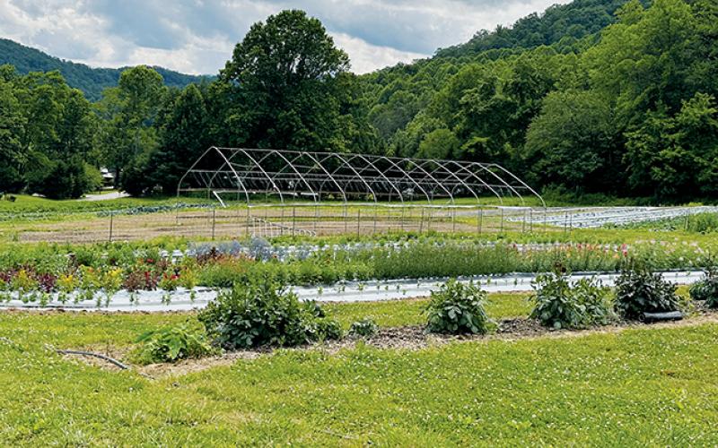 Scott Boxberger has been manning the fields at Stoney Hollow Farm for 25 years. Along the way, Scott, his wife Stephanie and son Landon have faced several challenges Mother Nature has thrown in front of them – and survived.