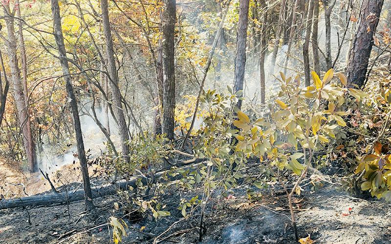 Crews are still combating a fire that broke out in a wooded section of the Yellow Creek community Sunday. Photo courtesy of Tory Lynnes/U.S. Forest Service