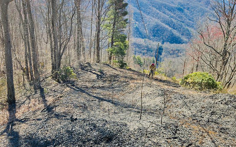 A downed powerline lit a fire that burned more than an acre of land Monday evening. Photo courtesy of Tory Lynnes