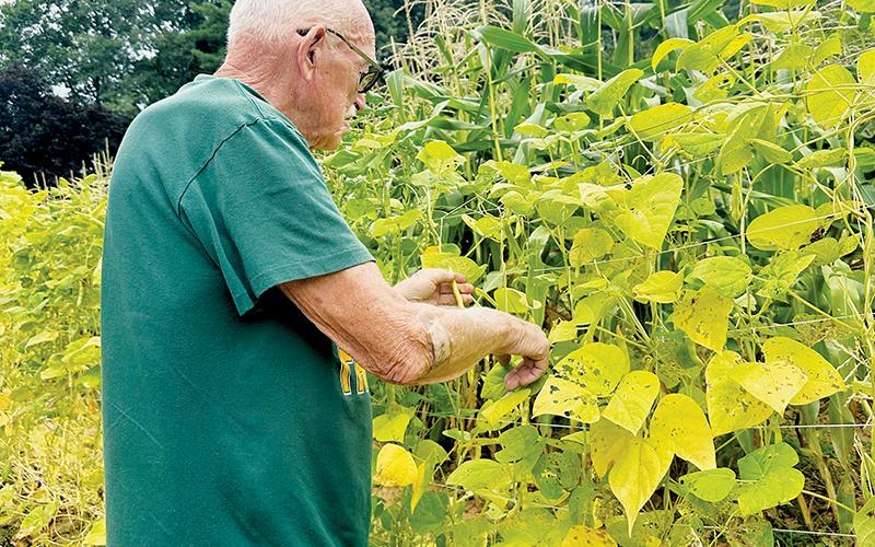 For more than 70 years, Jay Stewart has made sure to not let one piece of produce from his garden go to waste. He sees the ability to give away the majority of his crops as a testimony to the Lord. Photos by Latresa Phillips/The Graham Star