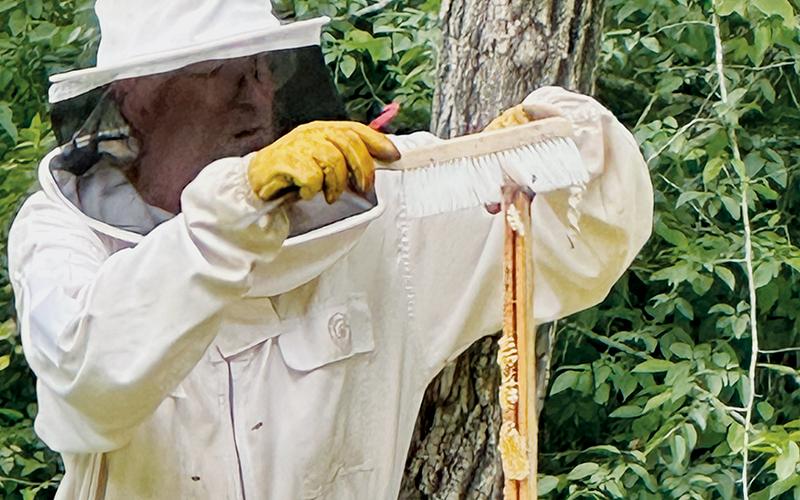 Local beekeeper Allen Wamsley carefully extracted lavender honey from a hive in the Yellow Creek community on July 3. Photos by Latresa Phillips/The Graham Star