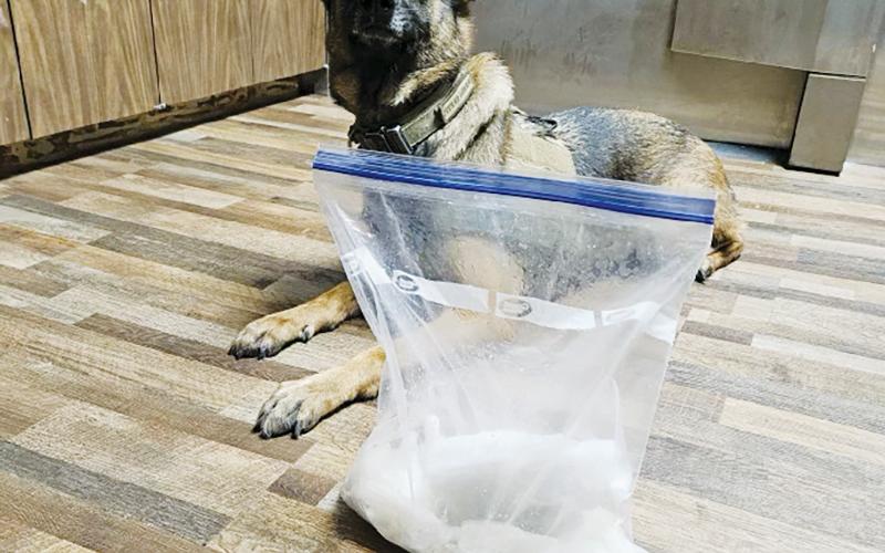 Graham County Narcotics K-9 Sam poses with the 2.22 pounds of methamphetamine he discovered during an early-morning traffic stop Aug. 10. Photo courtesy of Graham County Sheriff's Office