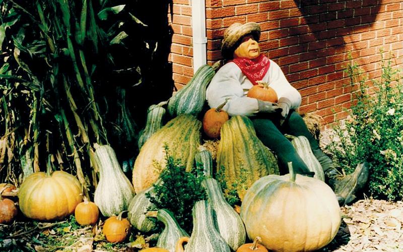 This scarecrow can rest, now that the autumn harvest is done.