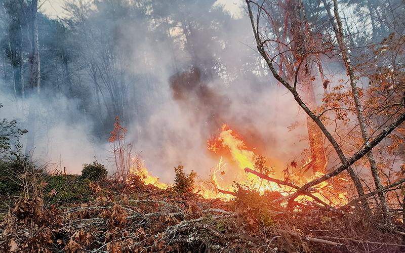 Dry conditions have sparked at least four brush fires in Graham County over the last week. The efforts to curb the spread of flames began Tuesday, Nov. 5, when this blaze started off Hoot Owl Hollow. Photo courtesy of Frank Cline/U.S. Forest Service