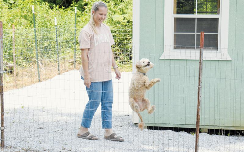 Photographs used in The Graham Star's June 27, 2024 feature on a young entrepreneur opening a local kennel that provides all the comforts of home – appropriately titled "Pampered Pups" – caught the eyes of judges in this year's North Carolina Press Association contest. K's Kennels Owner Kensley Phillips looks on as Willow expresses her excitement with the stay. Photos by Kevin Hensley/editor@grahamstar.com