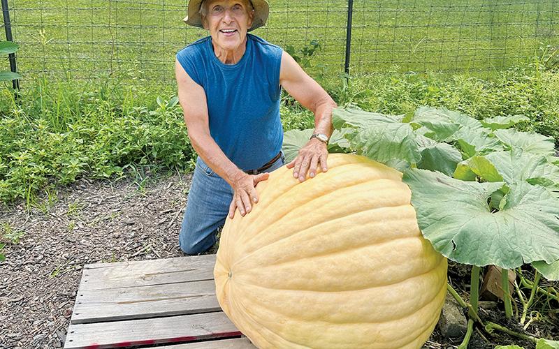 Raymond Norton grows massive pumpkins for a yearly contest that sees local businesses give away prizes to whoever can best predict the weight of the vegetable.
