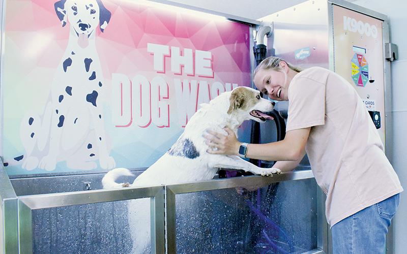 Photographs used in The Graham Star's June 27, 2024 feature on a young entrepreneur opening a local kennel that provides all the comforts of home – appropriately titled "Pampered Pups" – caught the eyes of judges in this year's North Carolina Press Association contest. The Dog Wash is a hit for canines of all kinds, as Daffney found out while enjoying a scrub by Phillips on June 22, 2024.