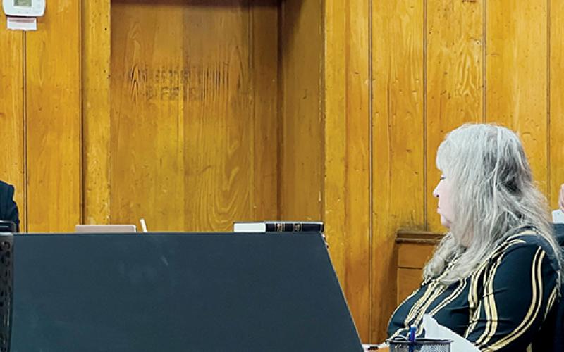 District Attorney Ashley Welch (right) questions North Carolina Department of Insurance Special Agent Jasmine Hanline (left, in witness box) during Tuesday's session of a hearing regarding the removal of Graham County Sheriff Brad Hoxit from office. Photos by Kevin Hensley/editor@grahamstar.com