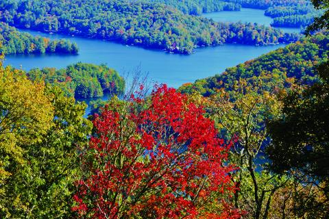 Trees surrounding Lake Santeetlah display some late-blooming fall colors. Photo by Art Miller/amiller@grahamstar.com