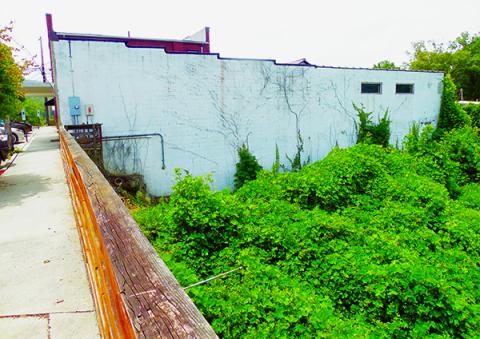 This building in downtown Robbinsville has a massive field of kudzu growing adjacent to the structure. Photos by John Colwell/Contributing Photographer