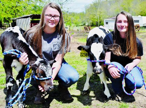 Lilly (left) and Abbie Lancaster work with the N.C. State Extension Office’s Dairy  Market Steer Program to care for calves at Double 00 Farms in Tuskegee. Photo by Art Miller/amiller@grahamstar.com
