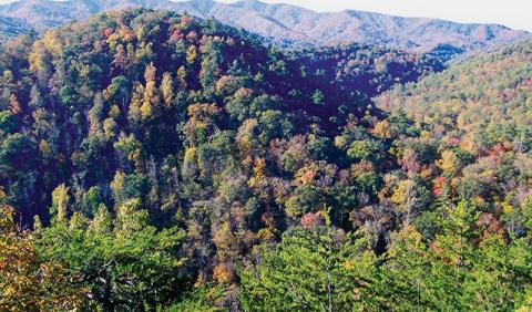 A breathtaking view of the mountains, from Yellow Creek Mountain Trail. Photo by Marshall McClung/The Graham Star