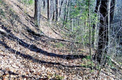 A portion of the old Cherokee Indian trade route near present-day Blue Boar Lodge, later widened to accommodate wagons. Photo by Marshall McClung/The Graham Star
