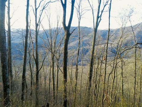 Views like this await Appalachian Trail hikers who pass through Stecoah Gap. Photo by Charlie Benton/news@grahamstar.com