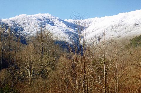 The steep mountains on the upper reaches of Hares Creek rise above 4,000 feet elevation to form the boundary between Graham and Cherokee counties. Photo by Marshall McClung/The Graham Star