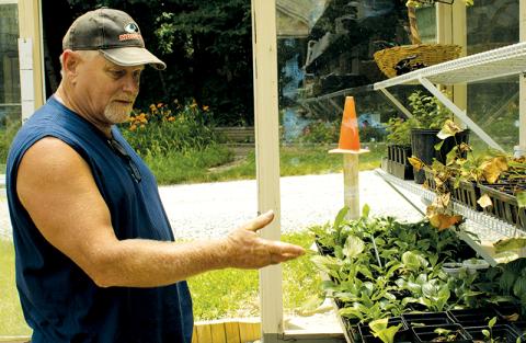 Tom Christenson shows off his greenhouse, which adjoins his 4,000-square foot vegetable garden. The garden includes more than 20 types of vegetables and fruits, in addition to flowers and other plants throughout his property. Photos by Charlie Benton/news@grahamstar.com