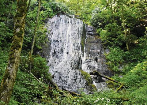 Measuring 31 feet in height, Burgen Creek Falls is a hidden gem off Atoah Road. Until the publication of this column, that is. Photos by Kevin Hensley/editor@grahamstar.com