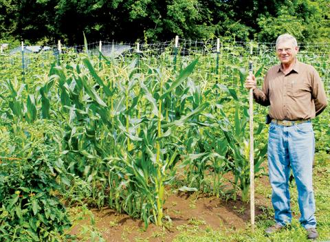 James Buchanan proudly stands with his garden off Tallulah Road. Buchanan has been focusing on gardening since retiring from the construction industry in 2015. Photos by Art Miller/amiller@grahamstar.com