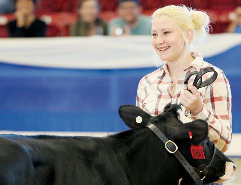 Robbinsville Middle School’s Pacey Bradshaw proudly shows her Holstein steer, Diesel, at the N.C. Mountain State Fair in September. The pair took home the first place award in showmanship.