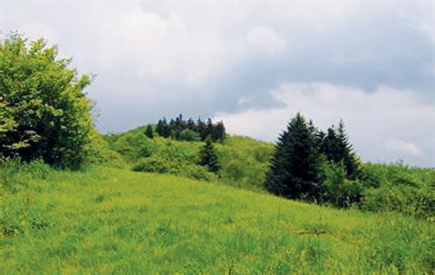 Stratton Bald – elevation 5,341 feet – is named for Robert “Bob” Stratton.