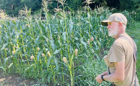 Tom Orr is an old-school gardener who works his 2-acre garden by himself and sells his produce from his house. Photo by Randy Foster/news@grahamstar.com