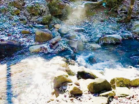 With temperatures in Graham County hovering in the single digits for much of the Christmas weekend, Sweetwater resident Brenda Williams captured this telling photo of mist rising off Beech Creek on Friday.