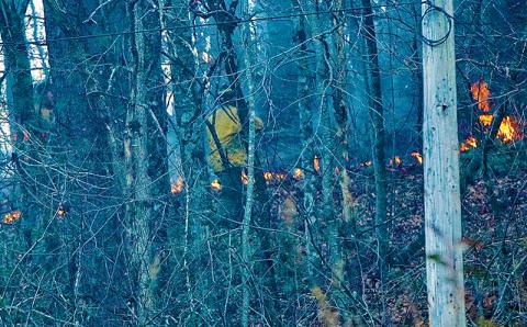 An unidentified firefighter analyzes a small fire that spread into a wooded area off Eller Branch Road on Nov. 21. Photo by Randy Foster/news@grahamstar.com