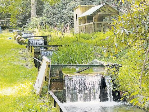 This Aug. 25 photo shows waters gently flowing through the now-defunct Hunting Boy Trout Farm. More than five years ago, the business found itself embroiled in a dispute with the Eastern Band of Cherokee Indians – one that has not been fully resolved to this day. Photo by Randy Foster/Cherokee Scout