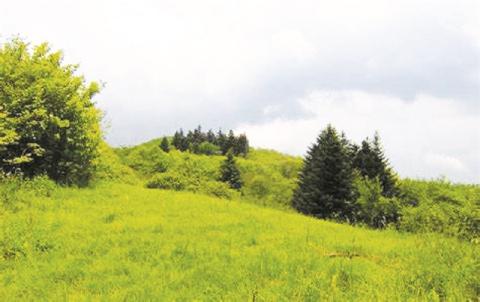 Whether you know it as Stratton Bald or Bob Bald, the mountain was named for Robert “Bob” Stratton – an early pioneer who settled in that area.