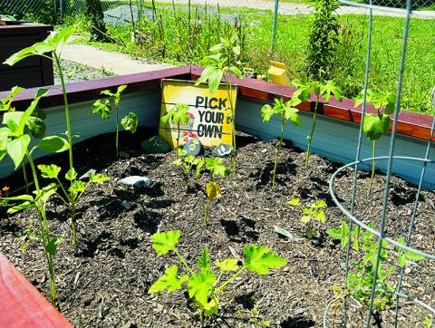 Everyone is invited to attend the “Community Garden Party” at 3 p.m. Sunday.